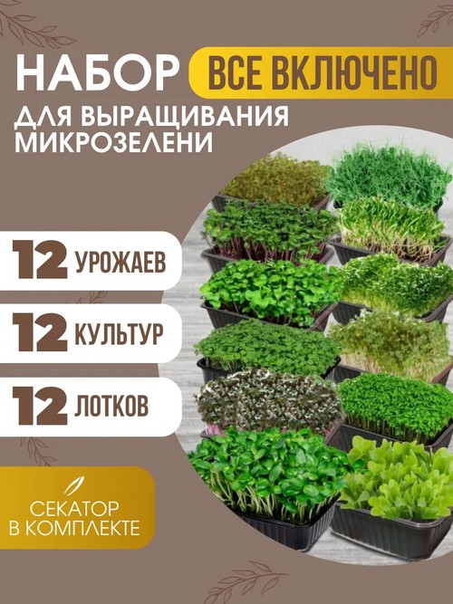 Идеи подарков на любой случай: что выбрать до 5000 ₽, чтобы не было неловко