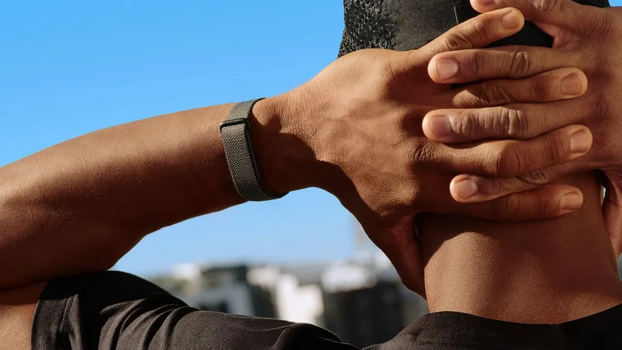 Google Fitbit Air